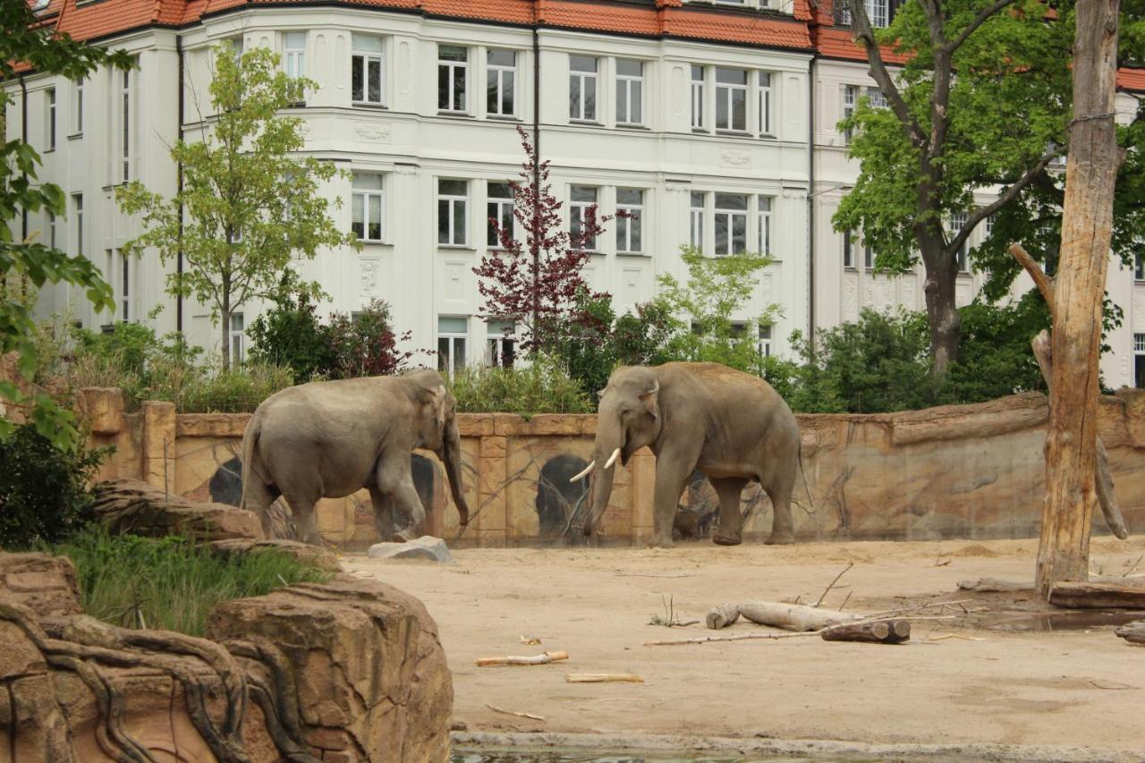 Apartment 1813 - Voelkerschlacht Zu Leipzig Markkleeberg